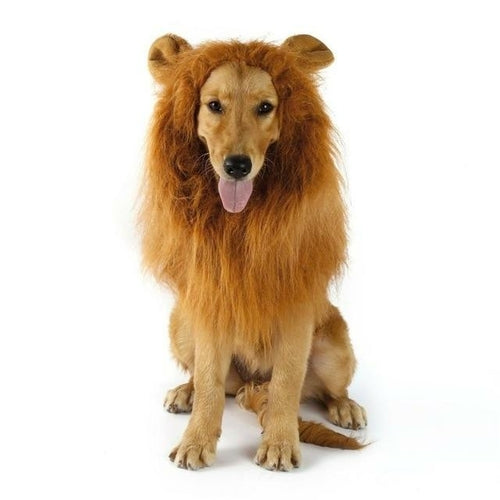Perruque de Chien Thème Lion