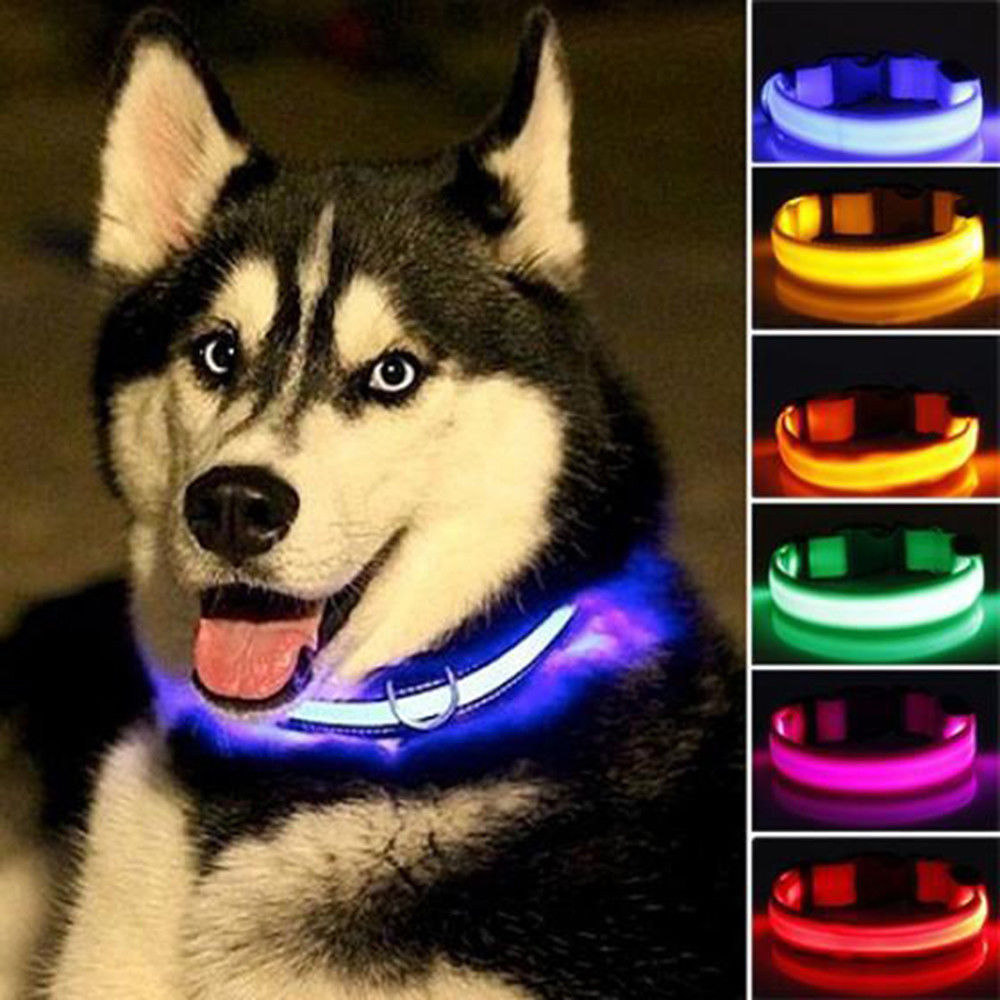 2 PCS Ensemble Nylon LED Chien Collier