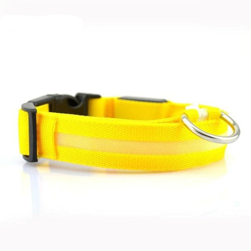 2 PCS Ensemble Nylon LED Chien Collier