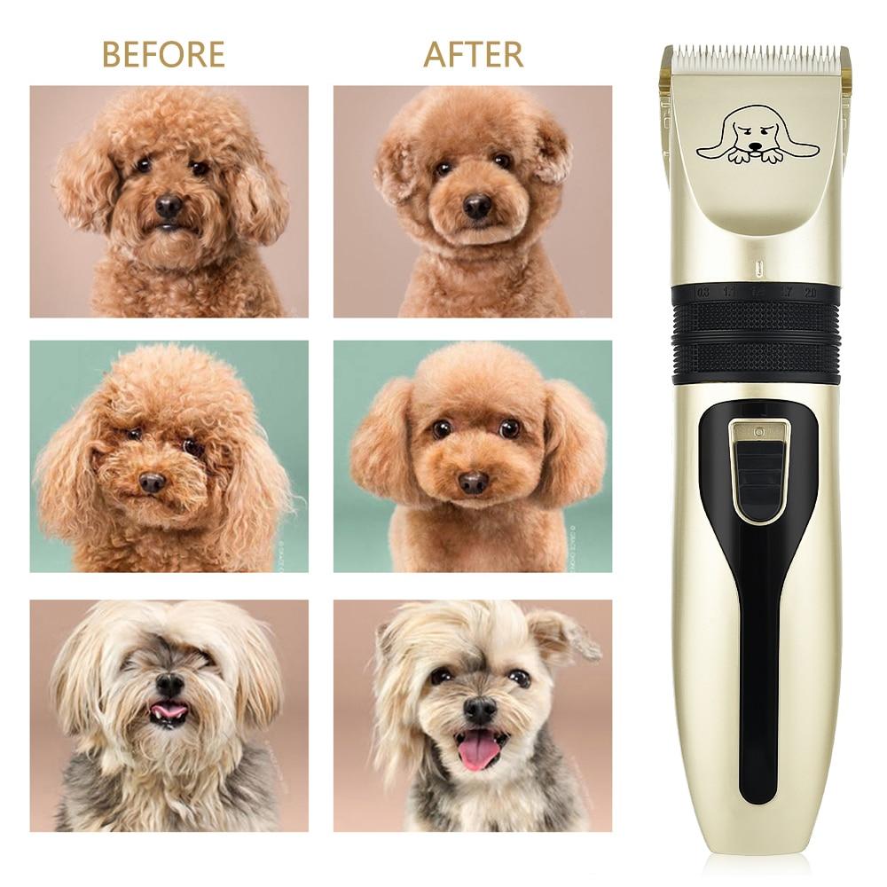 Kit de tondeuse pour poils d'animaux
