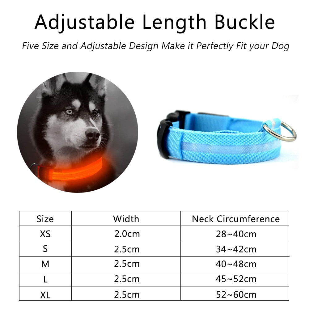 2 PCS Ensemble Nylon LED Chien Collier