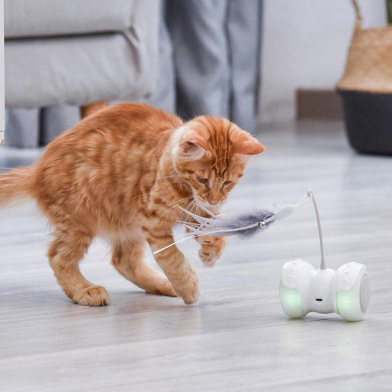 Jouet interactif lumineux pour chat avec télécommande