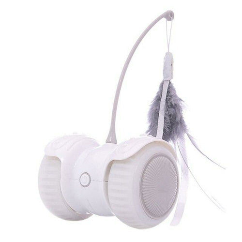 Jouet interactif lumineux pour chat avec télécommande voiture électrique