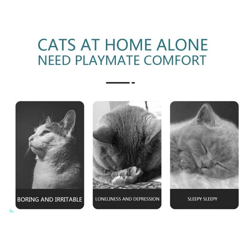 Jouet interactif souris pour chat