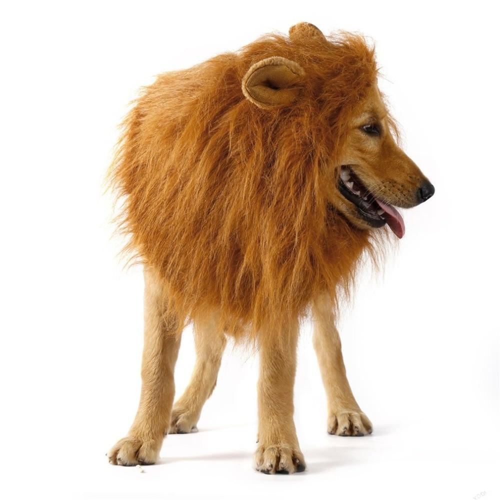 Perruque de Chien Thème Lion