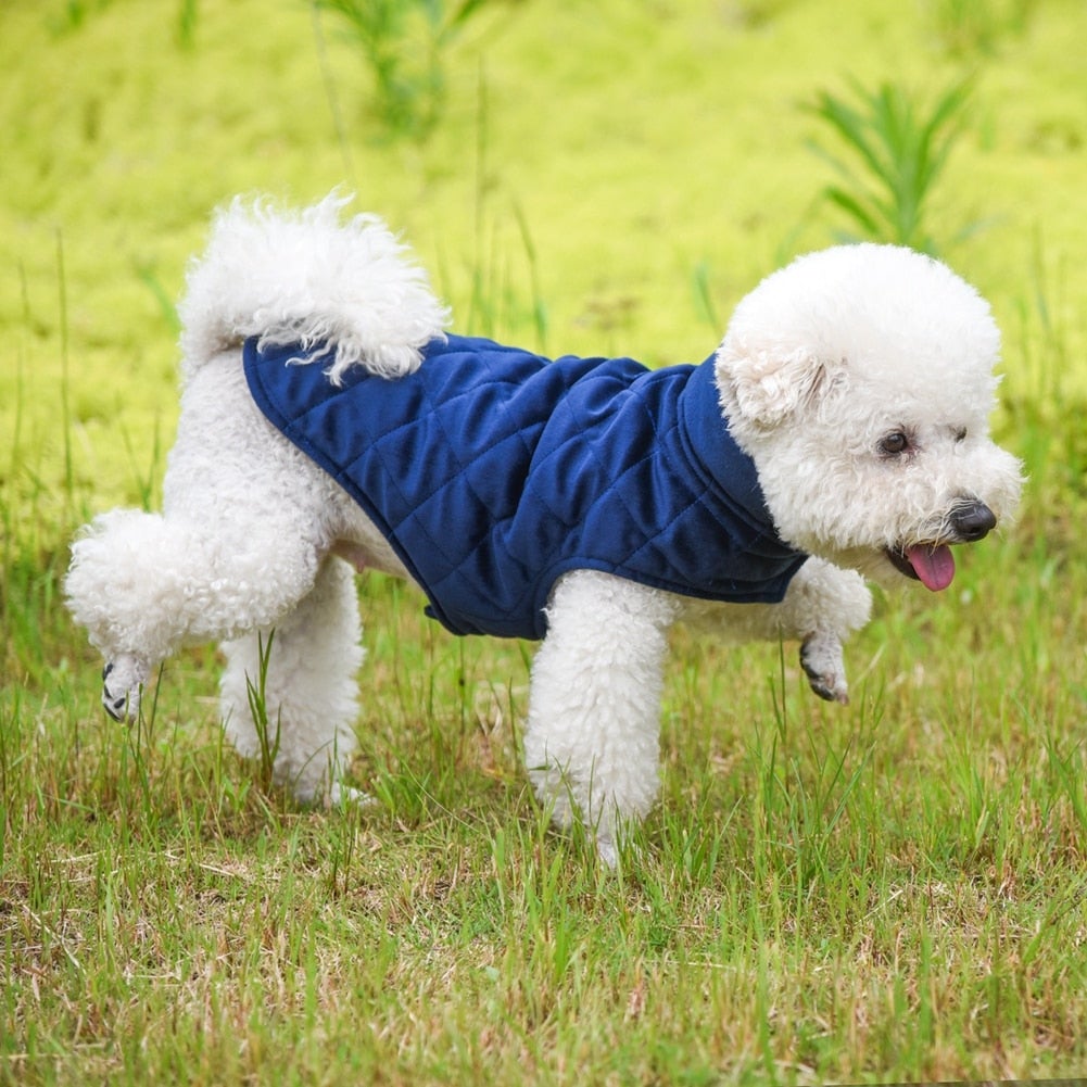 Gilet d'hiver chaud pour chiens