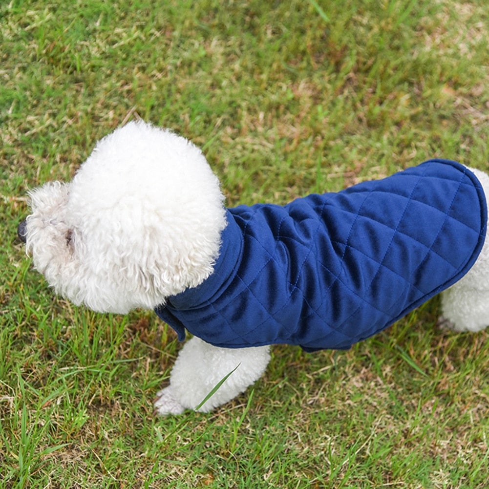 Gilet d'hiver chaud pour chiens