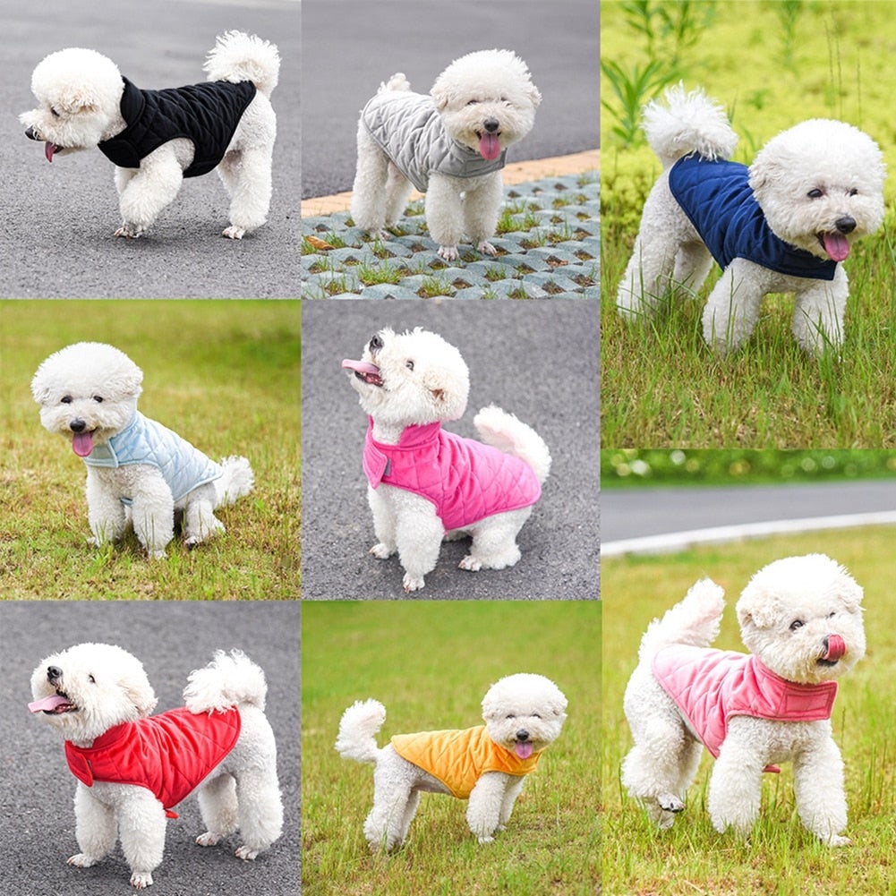 Gilet d'hiver chaud pour chiens