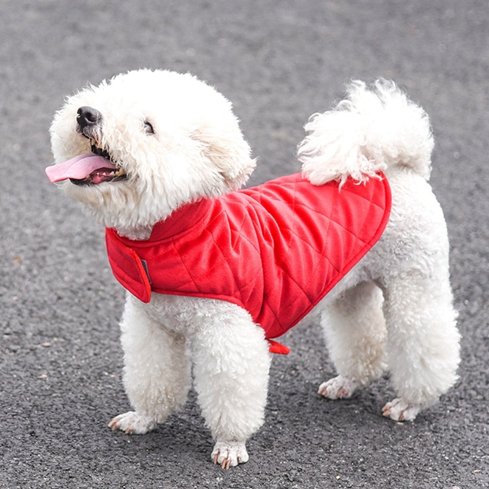 Gilet d'hiver chaud pour chiens