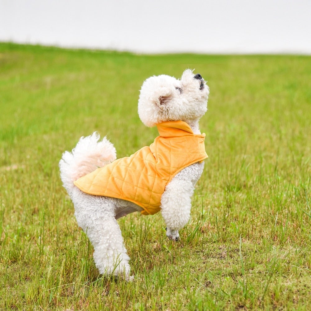 Gilet d'hiver chaud pour chiens