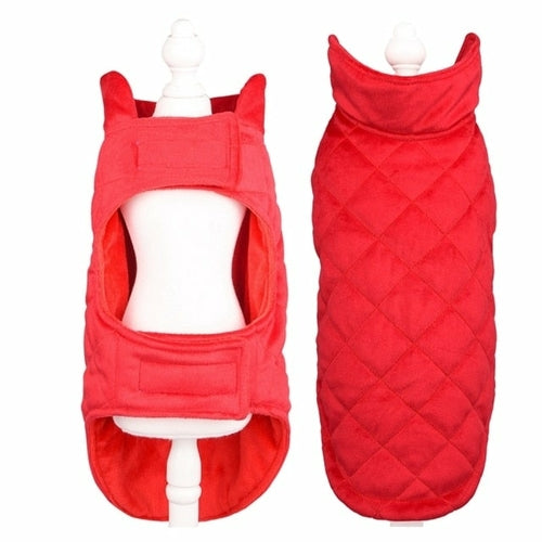 Gilet d'hiver chaud pour chiens