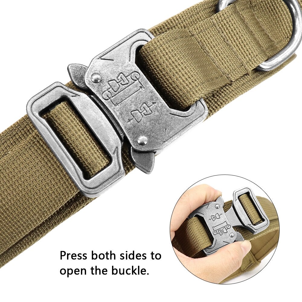 Collier et Laisse Bungee pour Chien en Nylon