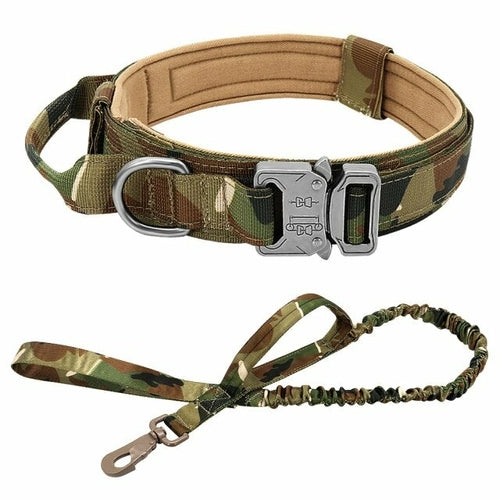 Collier et Laisse Bungee pour Chien en Nylon