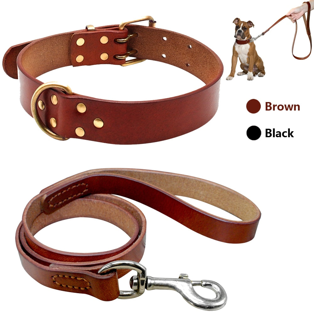 Résistant Leather Chien Collier et Laisse Genuine Leather Chiens Collier Animal