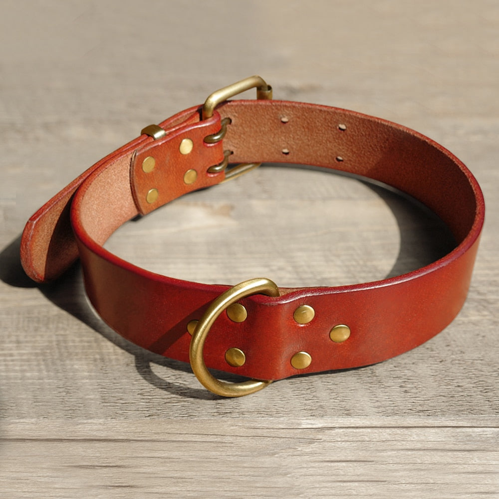 Résistant Leather Chien Collier et Laisse Genuine Leather Chiens Collier Animal