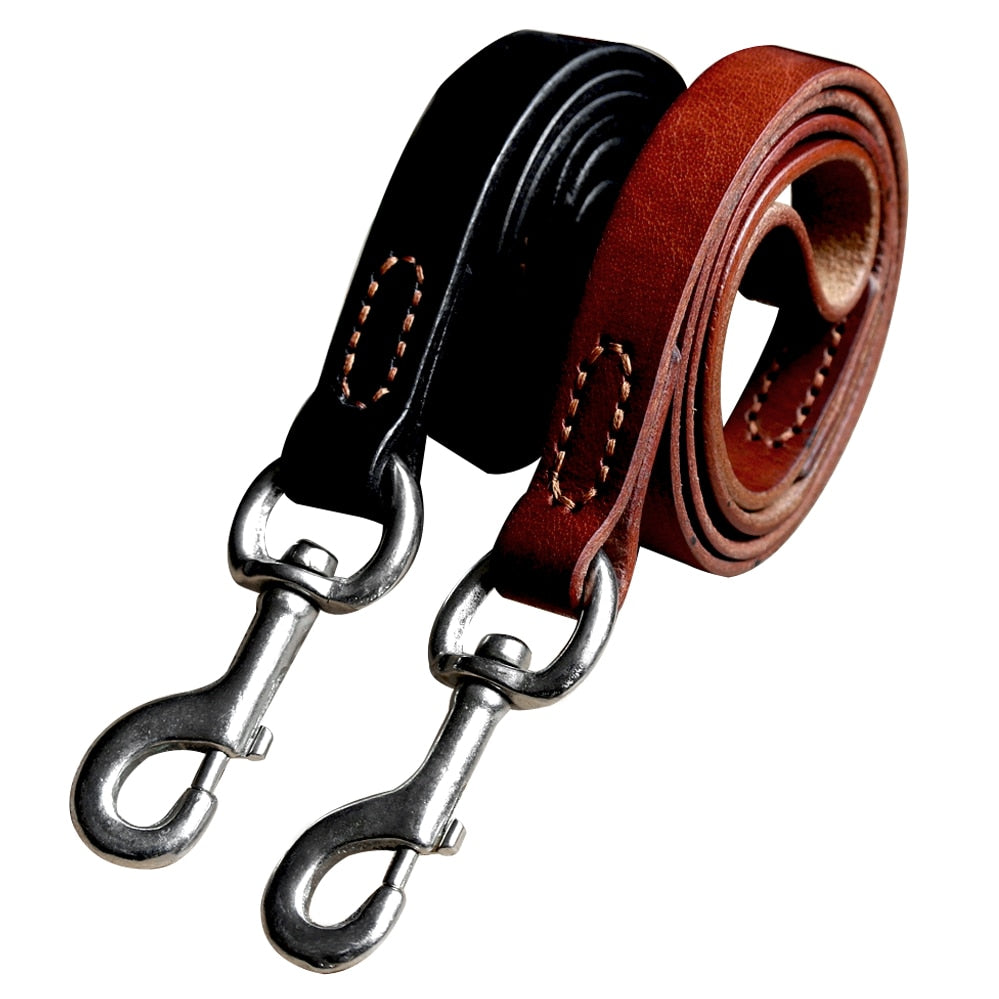 Collier et Laisse en Cuir pour Chien