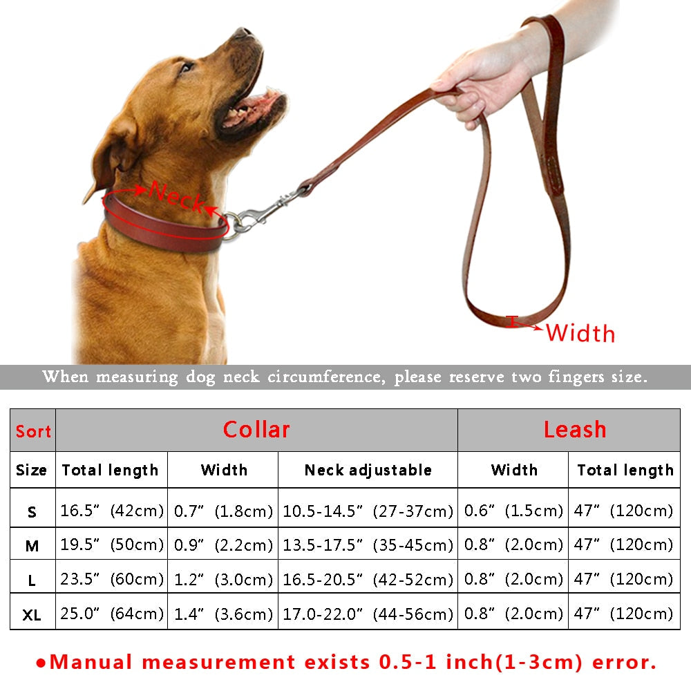 Collier et Laisse en Cuir pour Chien
