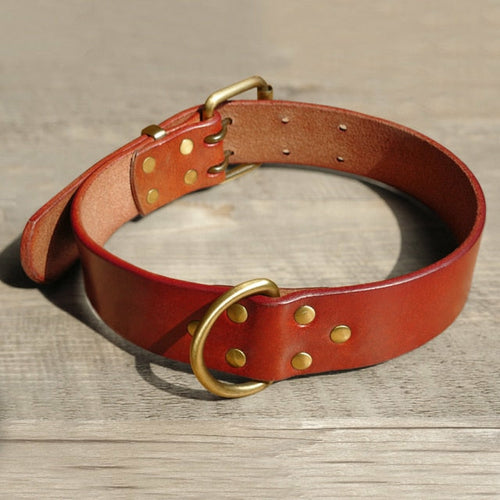 Résistant Leather Chien Collier et Laisse Genuine Leather Chiens Collier Animal
