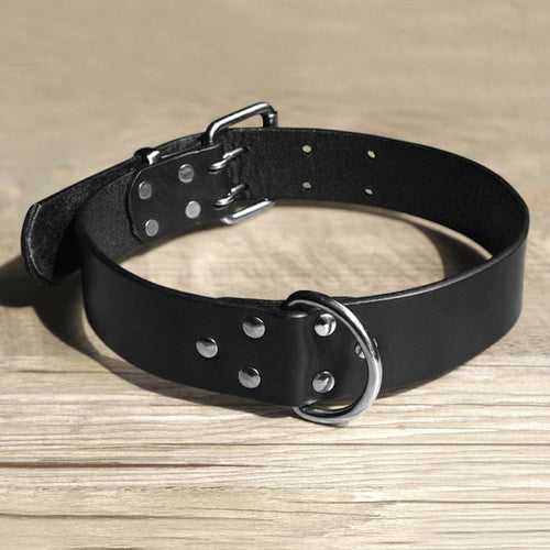 Résistant Leather Chien Collier et Laisse Genuine Leather Chiens Collier Animal