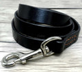 Collier et Laisse en Cuir pour Chien