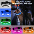 Collier LED Anti-Perte pour Chiens