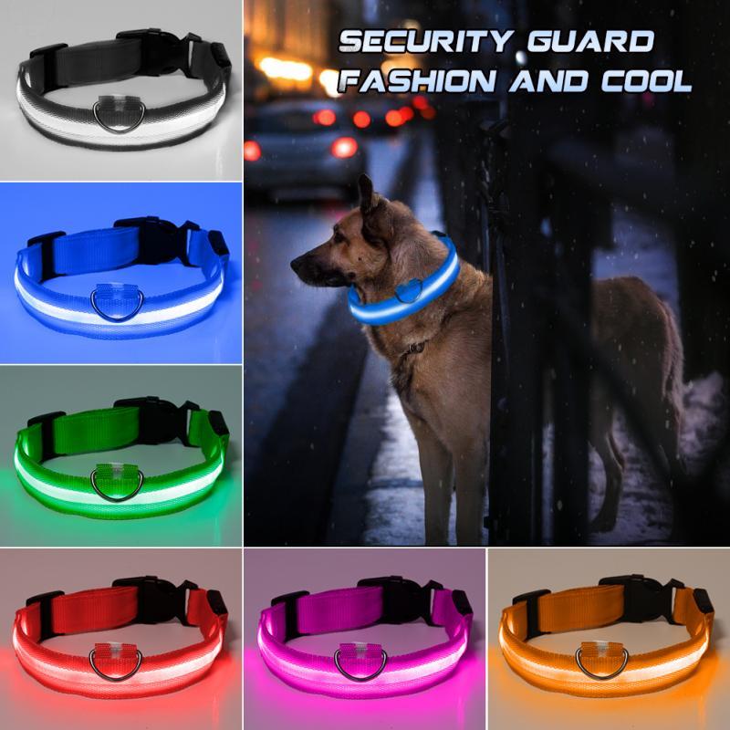 Collier LED Anti-Perte pour Chiens