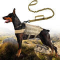 Gilet pour Chien avec Laisse Réglable en Nylon