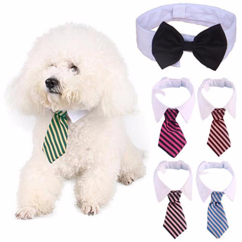 Nœud Papillon Rayé pour Chien et Chat - Collier Réglable Blanc