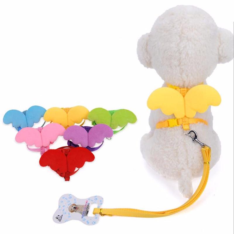 Ensemble Laisse et Colliers pour Chiens Anges Mignons