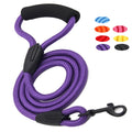 Laisse pour Petit et Grand Chiens Nylon - Laisse pour Chats et Animaux