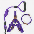 Laisse de Traction Corde pour Chien