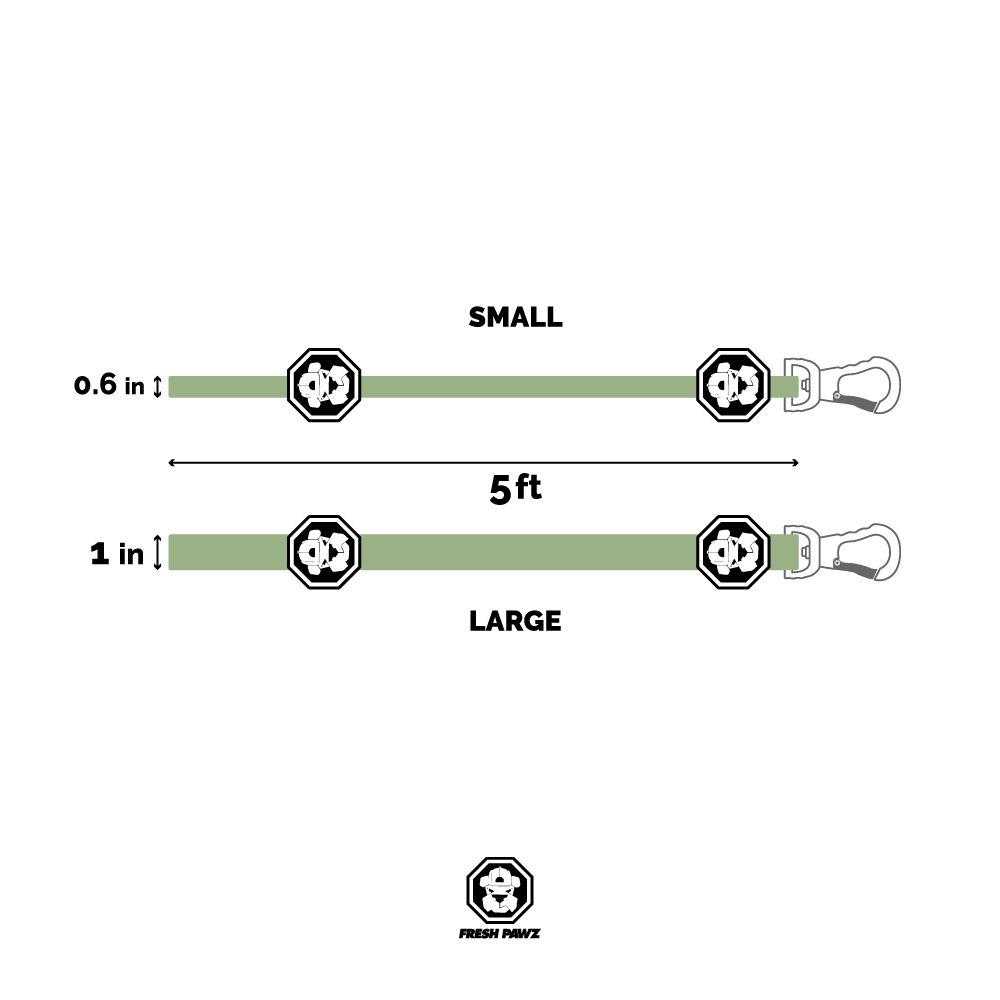 Kilo Cuban Link | Laisse