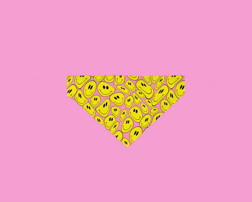 Bandana Reste Heureux