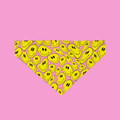 Bandana Reste Heureux