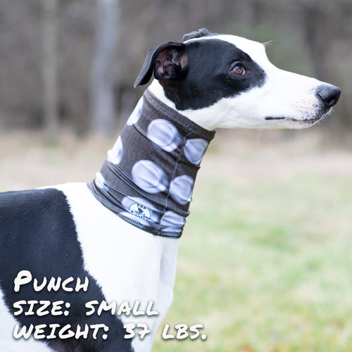 Accessoire de Mode pour Chien