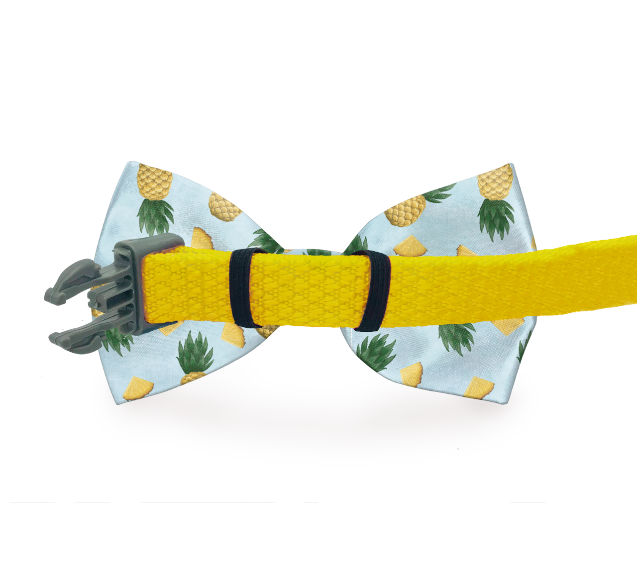 Nœud Papillon Zig Zag pour Chien